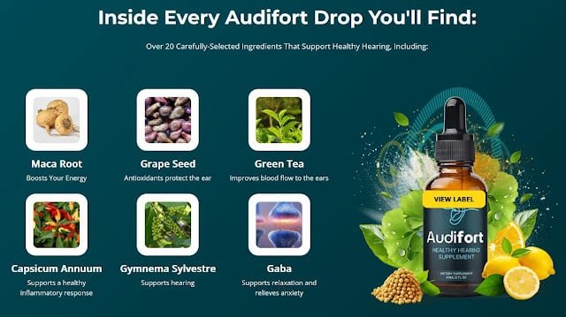 audifort-ingredients